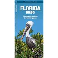 Florida Birds: A Folding Pocket Guide to Familiar Species