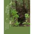Mining Stamp Mills