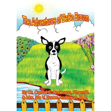 The Adventures of Bebo - Paperback