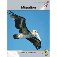Migration - Paperback
