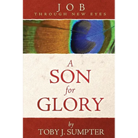 A Son for Glory: Job Through New Eyes - Paperback