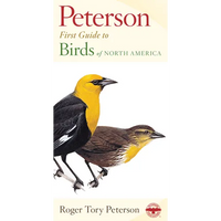 Birds of North America - Paperback