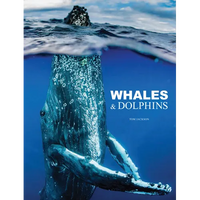 Whales & Dolphins - Hardcover