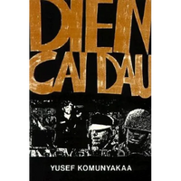 Dien Cai Dau - Paperback