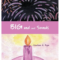 Big and Small Sounds - Hardcover