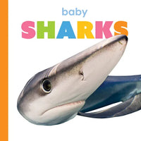 Baby Sharks - Library Binding
