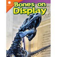 Bones on Display - Paperback