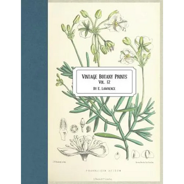 Vintage Botany Prints: Vol. 12 - Paperback