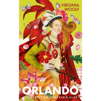 Orlando: The Illustrated Edition - Hardcover