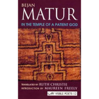 In The Temple Of A Patient God - Paperback