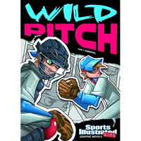 Wild Pitch - Paperback