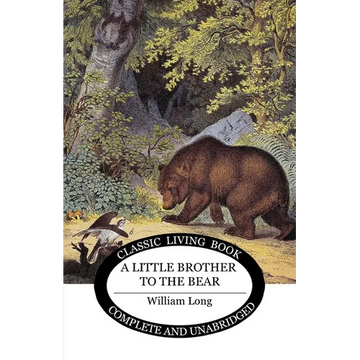 Little Brother to the Bear - Paperback