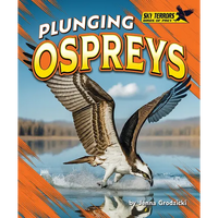 Plunging Ospreys - Library Binding