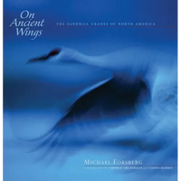 On Ancient Wings: The Sandhill Cranes of North America - Hardcover