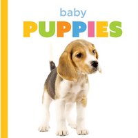 Baby Puppies - Paperback