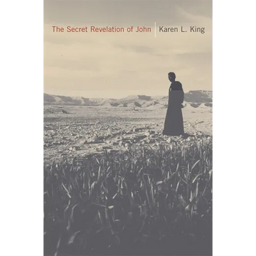 The Secret Revelation of John - Paperback