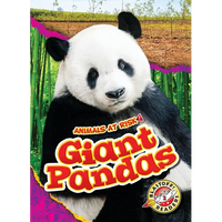 Giant Pandas - Library Binding