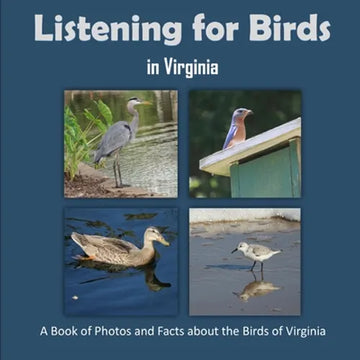 Listening for Birds in Virginia - A Book of Photos and Facts about the Birds of Virginia - Paperback