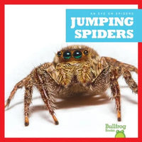 Jumping Spiders - Library Binding