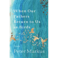 When Our Fathers Return to Us as Birds - Paperback