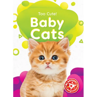 Baby Cats - Paperback