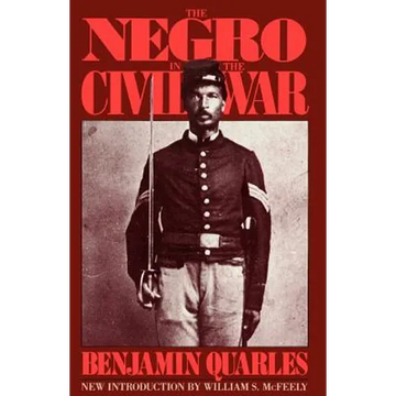 The Negro in the Civil War - Paperback