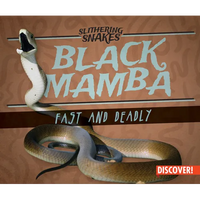 Black Mamba: Fast and Deadly - Library Binding