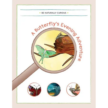 A Butterfly's Evening Adventure - Paperback