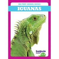 Iguanas - Paperback