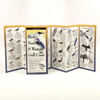 Birds of the Northern & Western Gulf Coast