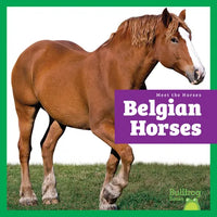 Belgian Horses - Paperback