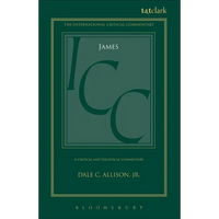 James (ICC): A Critical and Exegetical Commentary - Paperback