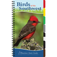 Birds of the Southwest: Your Way to Easily Identify Backyard Birds - Spiral