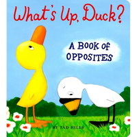What's Up, Duck?: A Book of Opposites - Board Book