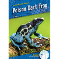 Poison Dart Frog