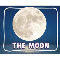 The Moon - Paperback