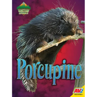 Porcupine - Library Binding