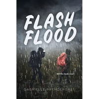 Flash Flood - Paperback