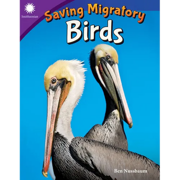 Saving Migratory Birds - Paperback