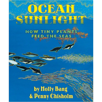 Ocean Sunlight: How Tiny Plants Feed the Seas - Hardcover