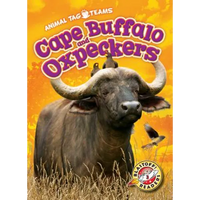 Cape Buffalo and Oxpeckers - Library Binding