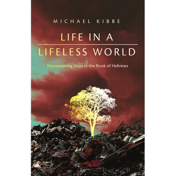 Life in a Lifeless World: Encountering Jesus in the Book of Hebrews - Paperback