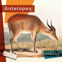 Antelopes - Library Binding