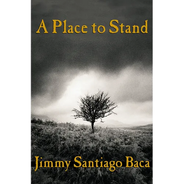 A Place to Stand - Paperback