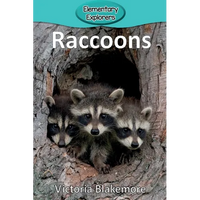 Raccoons - Paperback