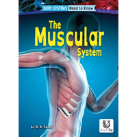 The Muscular System - Paperback