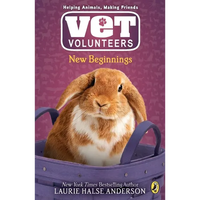 New Beginnings - Paperback