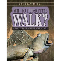 Why Do Mudskippers Walk?: And Other Curious Fish Adaptations - Library Binding