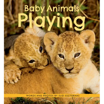 Baby Animals Playing - Paperback