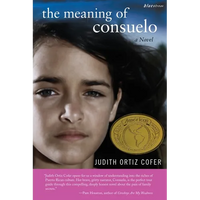 The Meaning of Consuelo - Paperback